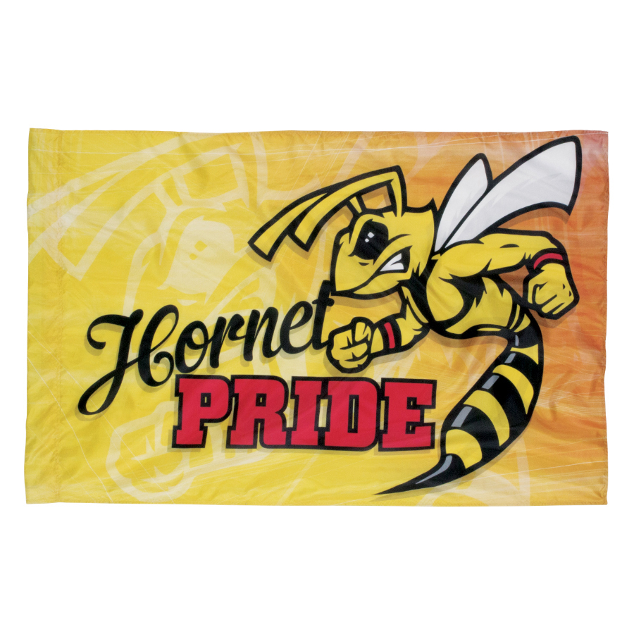 Custom Spirit/Battle Flag Hornet 53019