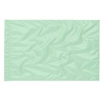 solid mint color guard flag