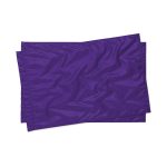 purple-star-line-double-twirling-flags