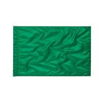 green-star-line-twirling-flags