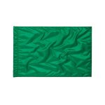 green Star Line Twirling Flag