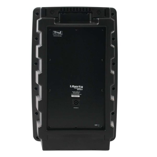 Anchor Audio Liberty Unpowered Companion Speaker, back view