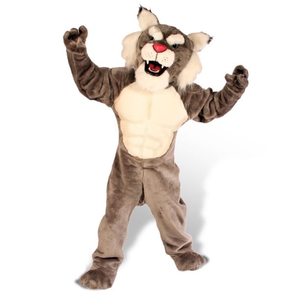 wildcat custom school mascot costume