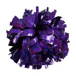 holographic show pom purple