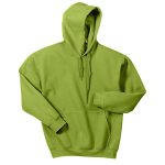 Kiwi Heavy Blend Hooded Sweatshirt, Front View