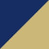 navy-gold