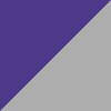 purple-silver